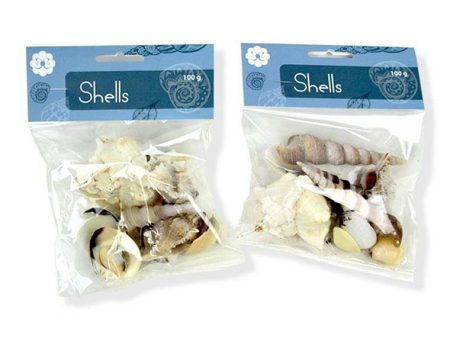 Shells, 100gm Online Sale