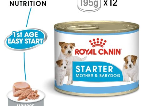 ROYAL CANIN Starter Mousse Mother & Puppy Wet Dog Food 12X195g Tins Cheap