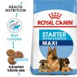 ROYAL CANIN Maxi Starter Mother & Babydog Dy Dog Food on Sale