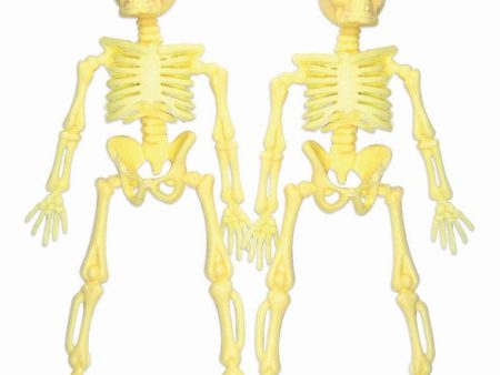 Favour Skeleton 2Pcs Online