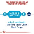 ROYAL CANIN Maxi Starter Mother & Babydog Dy Dog Food on Sale