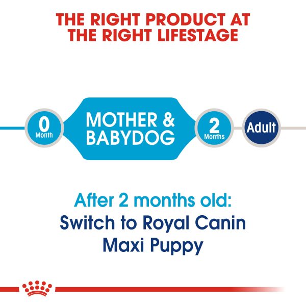 ROYAL CANIN Maxi Starter Mother & Babydog Dy Dog Food on Sale