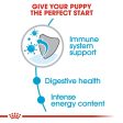 ROYAL CANIN® Mini Puppy Dry Dog Food Online now