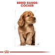 ROYAL CANIN Breed Cocker Puppy Dry Dog Food 3Kg For Sale