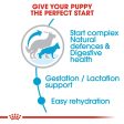 ROYAL CANIN Maxi Starter Mother & Babydog Dy Dog Food on Sale