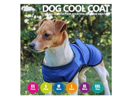 Ancol: Cooling Coat for Dogs For Cheap