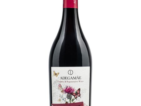 AdegaMãe Regenerative & Organic Red Cheap