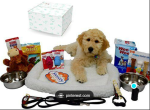 Puppy Bundle Pack Sale