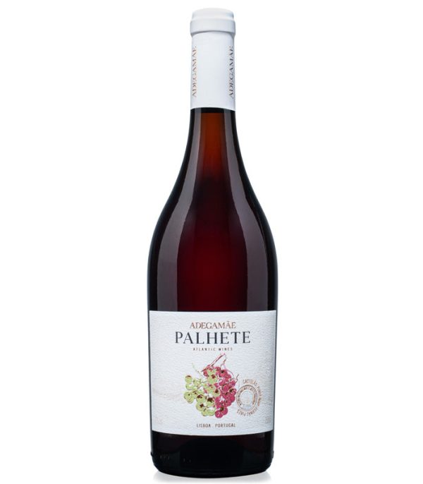 Red Palhete Portuguese Castalão lPinot Noir Hot on Sale