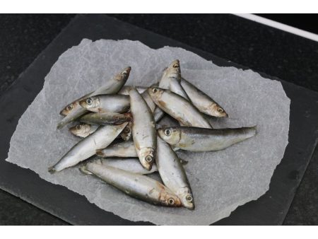 FRESH RAW WHOLE SPRATS 1KG on Sale