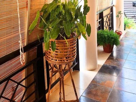 Handmade Cane Bamboo Standing Planter (Set of 1) Stand with for Garden, Balcony Home and Office Online Hot Sale