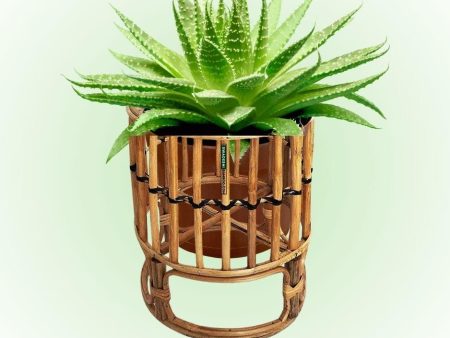 Swadeshi Bamboo (Set of 1) Cane Bamboo Rattan Hanging Table Planter Stand for Garden, Balcony Home and Office | Size- 10W*11H Inch Online