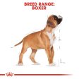 ROYAL CANIN® Breed Nutrition Boxer Puppy Dry Food For Sale