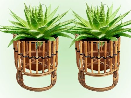 Set of 2 Cane Bamboo Rattan Planter for Garden, Balcony Home and Office | Size- 10W*11H Inch Online Hot Sale