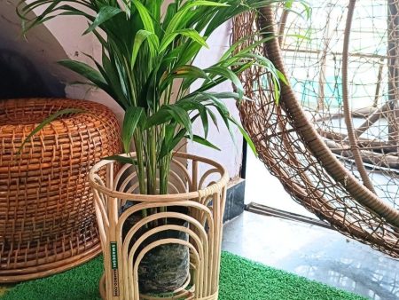 Swadeshi Bamboo (Set of 1) Cane Bamboo Rattan Wooden Planter Stand for Garden, Balcony Home and Office | Size- 10W*18H Inch Supply