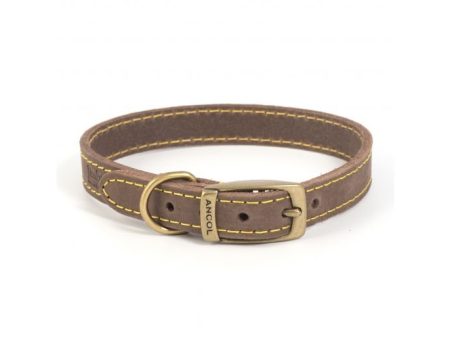 Timberwolf Leather Dog Collar Sable Colour For Discount