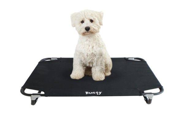 Raised Dog Bed - Elevated & Foldable on Sale