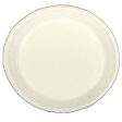 Serviceware Molded Fiber Plates(10 ) For Sale