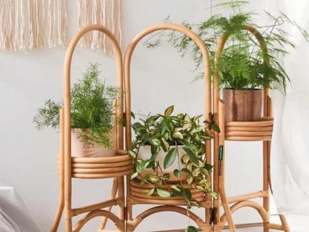 Swadeshi Bamboo (Set of 1) Cane Bamboo Rattan Standing Planter Stand with 3 pot for Garden, Balcony Home and Office Cheap