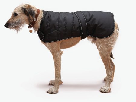 Black Harness Dog Coat with 3 Harness Access Points Online now