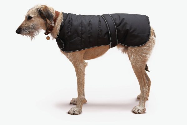 Black Harness Dog Coat with 3 Harness Access Points Online now