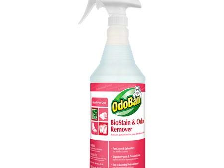 Clean Control OdoBan BioStain and Odor Remover(Qt.) Online Hot Sale