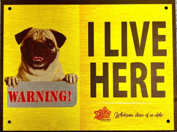 Caution  Warning Aluminium Composite Sign Board   PUG - I LIVE HERE  Fashion