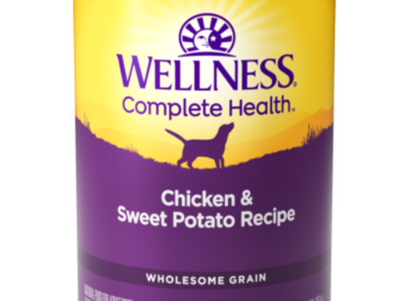 Wellness Complete Health Natural Chicken and Sweet Potato Recipe Wet Canned Dog Food on Sale