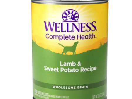 Wellness Complete Health Natural Lamb and Sweet Potato Recipe Wet Canned Dog Food Online