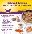 Wellness Complete Health Natural Chicken and Sweet Potato Recipe Wet Canned Dog Food on Sale