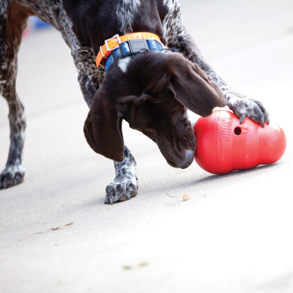 KONG Wobbler Treat Ball Supply